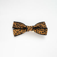 פפיון מנומר