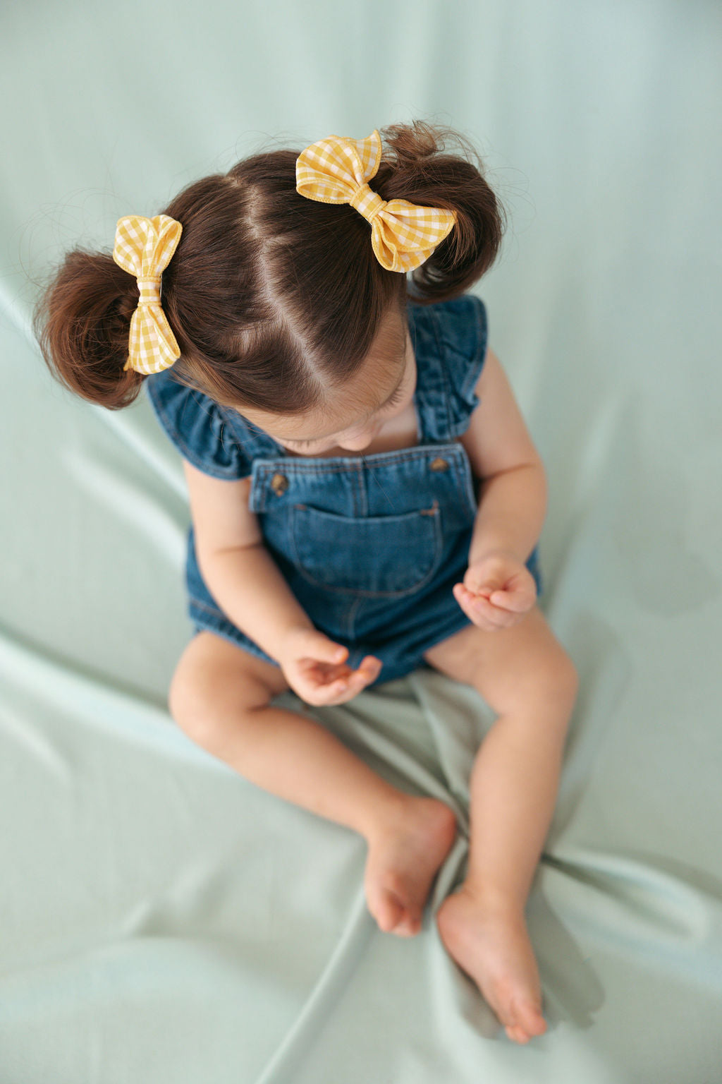 זוג פפיונים משובץ