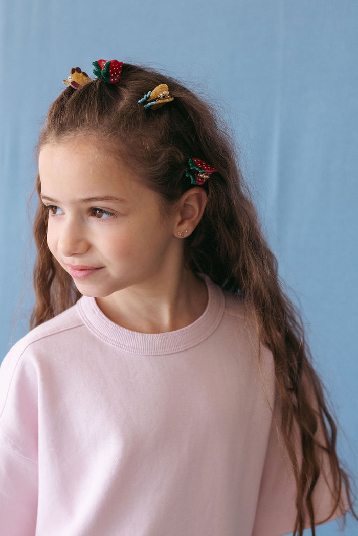 שלישיית קליפס פירות